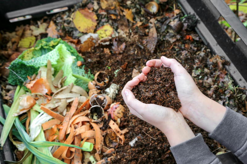 Les activateurs de compost